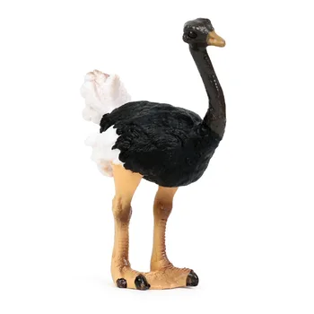 Когнитивное Моделирование моделей диких животных и птиц, Африканских страусов, наборов игрушек и украшений